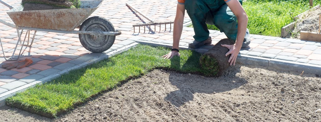 Person Laying Turf