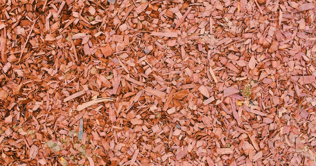 Wood Bark Chips