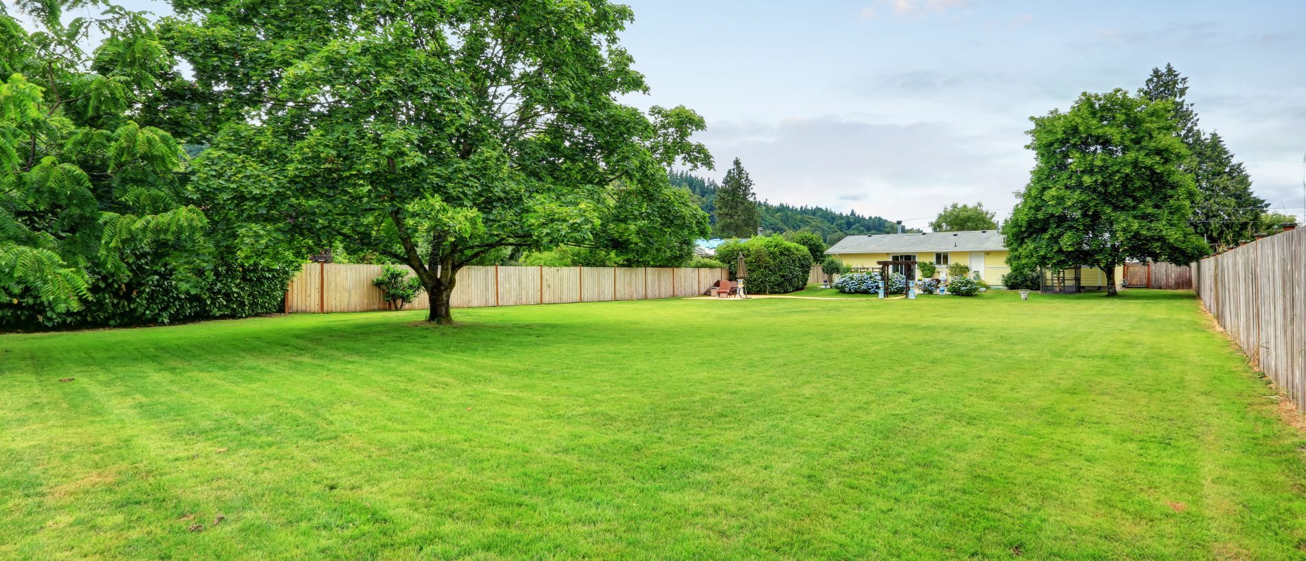 How to maintain a top quality lawn Master Hire Built on Service